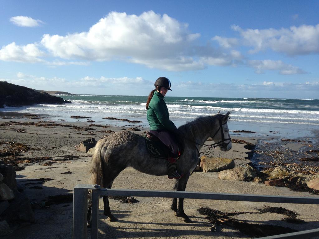 Inisean Ocean View Bed and Breakfast Dungloe Εξωτερικό φωτογραφία